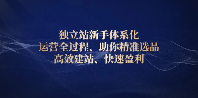 独立站新手体系化 运营全过程，助你精准选品、高效建站、快速盈利-chywc