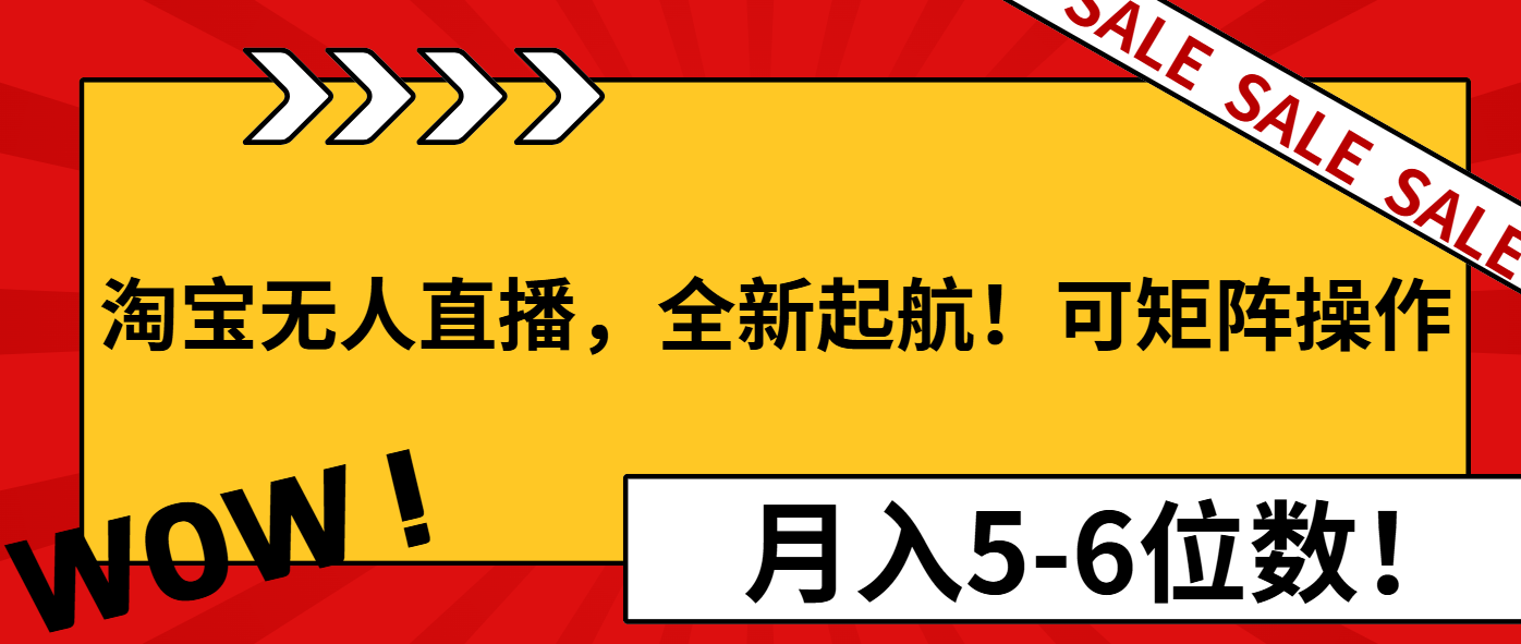 淘宝无人直播，全新起航！可矩阵操作，月入5-6位数！-chywc