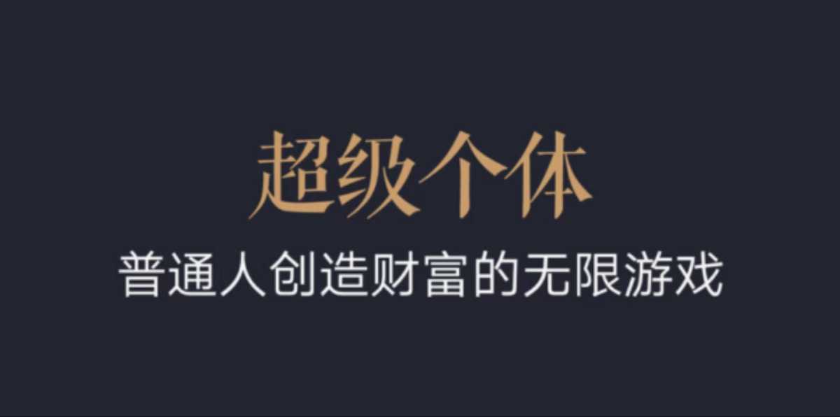 超级个体：2024-2025翻盘指南，普通人创造财富的无限游戏-chywc