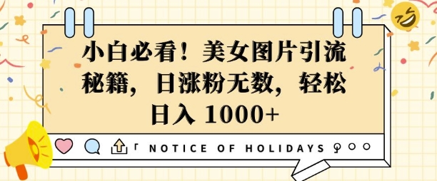 小白必看，美女图片引流秘籍，日涨粉无数，轻松日入几张【揭秘】-chywc