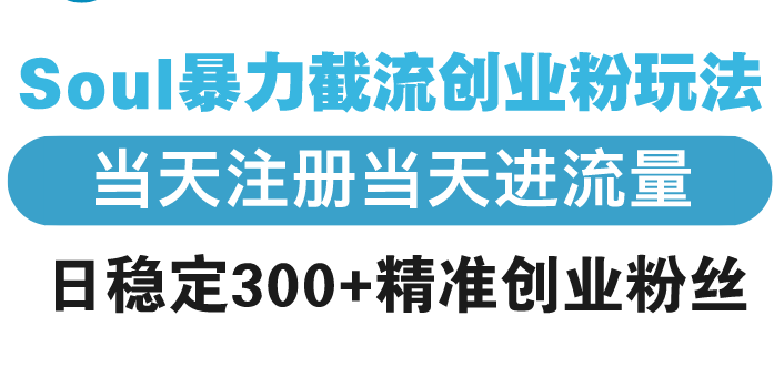 Soul暴力截流创业粉玩法，当天注册当天进流量，日稳定300+精准创业粉丝-chywc