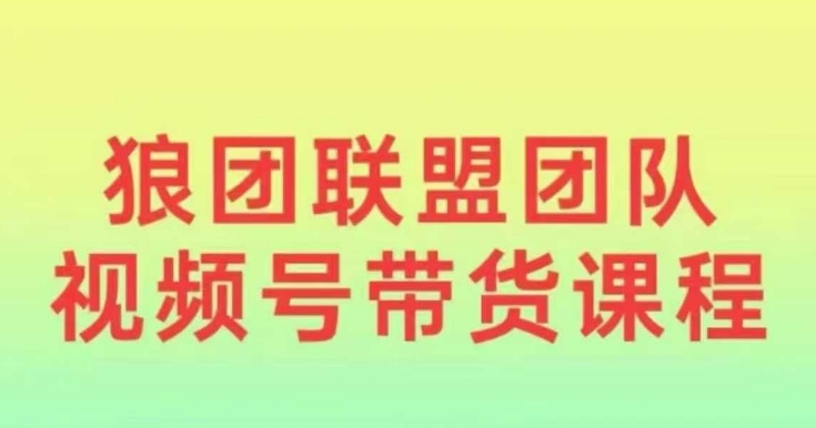 狼团联盟2024视频号带货，0基础小白快速入局视频号-chywc
