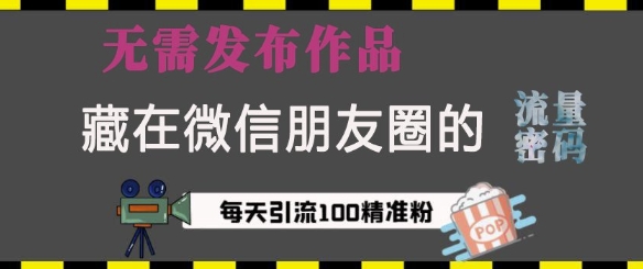 藏在微信朋友圈的流量密码，无需发布作品，单日引流100+精准创业粉【揭秘】-chywc