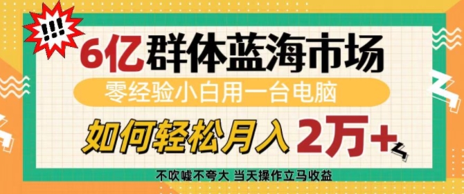 6亿群体蓝海市场，零经验小白用一台电脑，如何轻松月入过w【揭秘】-chywc