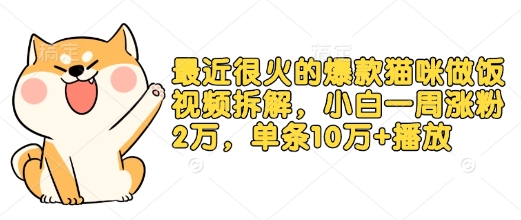 最近很火的爆款猫咪做饭视频拆解，小白一周涨粉2万，单条10万+播放(附保姆级教程)-chywc