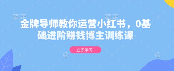 金牌导师教你运营小红书，0基础进阶赚钱博主训练课-chywc