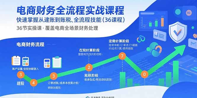 电商财务全流程实战课程：快速掌握从建账到报税的全流程技能(36节课-chywc