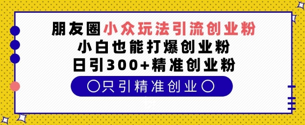朋友圈小众玩法引流创业粉，小白也能打爆创业粉，日引300+精准创业粉【揭秘】-chywc
