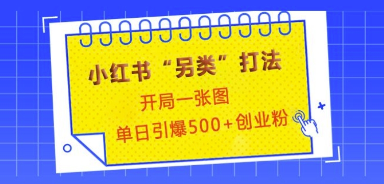 小红书“另类”打法，开局一张图，单日引爆500+精准创业粉【揭秘】-chywc