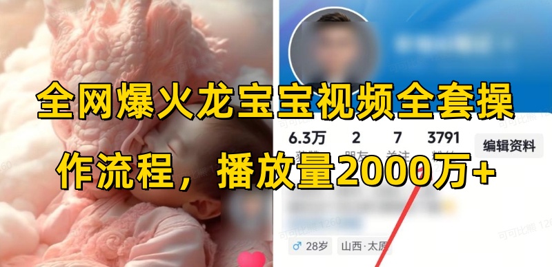 全网爆火龙宝宝视频全套操作流程，播放量2000万+-chywc