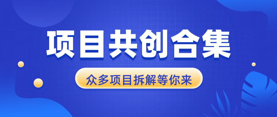 项目共创合集，从0-1全过程拆解，让你迅速找到适合自已的项目-chywc
