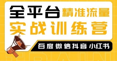 全平台精准流量实战训练营，百度微信抖音小红书SEO引流教程-chywc