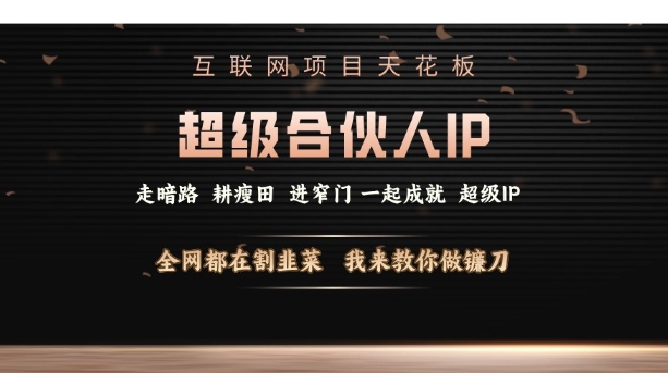 互联网项目天花板，超级合伙人IP，全网都在割韭菜，我来教你做镰刀【仅揭秘】-chywc