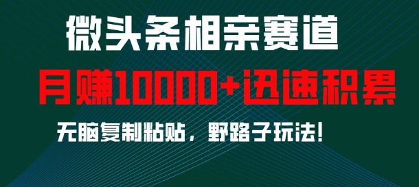 微头条相亲赛道，迅速积累，无脑复制粘贴，野路子玩法，月入1w-chywc