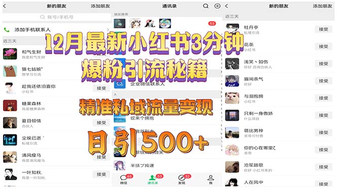 12月最新小红书3分钟爆粉引流秘籍 精准私域流量变现 日引500+-chywc
