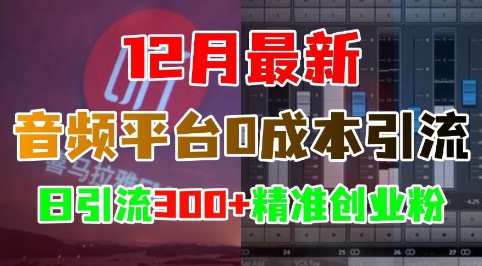 12月最新：音频平台0成本引流，日引流300+精准创业粉-chywc
