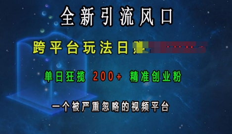 全新引流风口，跨平台玩法日入上k，单日狂揽200+精准创业粉，一个被严重忽略的视频平台-chywc