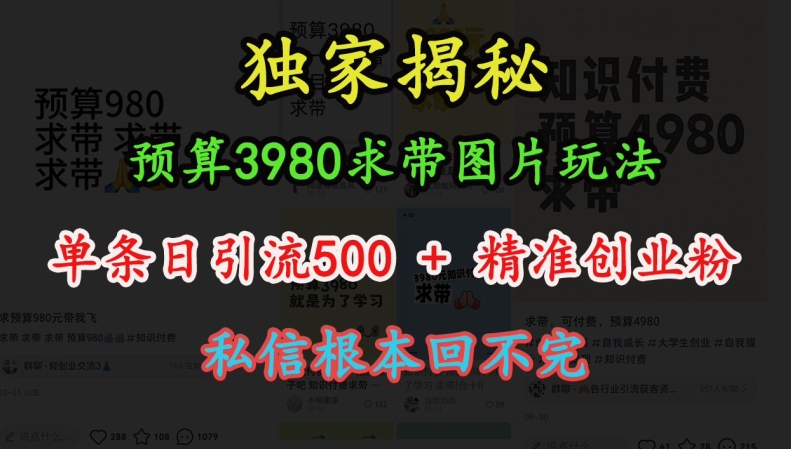 预算3980求带 图片玩法，单条日引流500+精准创业粉，私信根本回不完-chywc