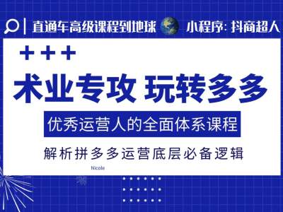 术业专攻玩转多多，优秀运营人的全面体系课程，解析拼多多运营底层必备逻辑-chywc