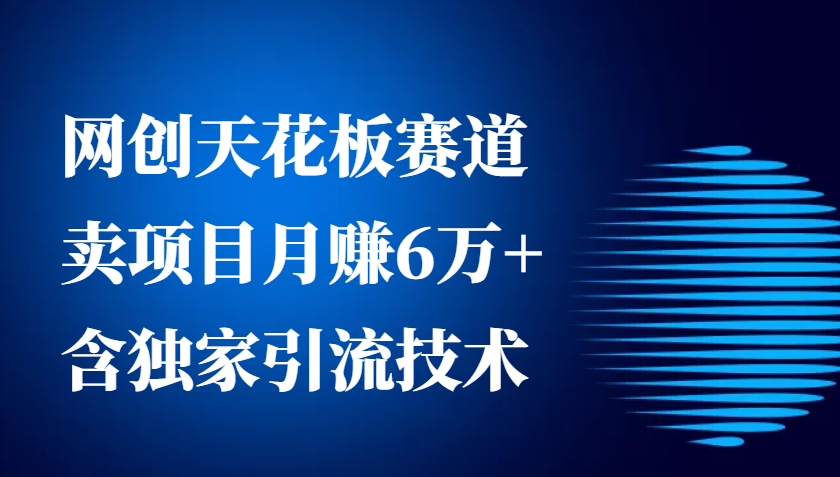网创天花板赛道，卖项目月赚6万+，含独家引流技术(共26节课)-chywc