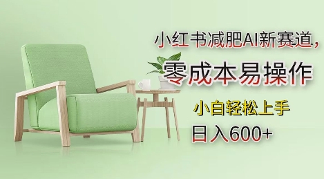 小红书减肥AI新赛道，零成本易操作，日入多张，小白轻松上手【揭秘】-chywc