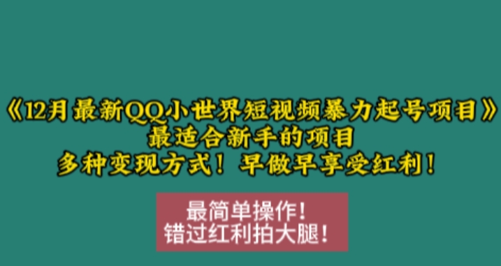 12月最新QQ小世界短视频暴力起号项目，最适合新手的项目，多种变现方式-chywc