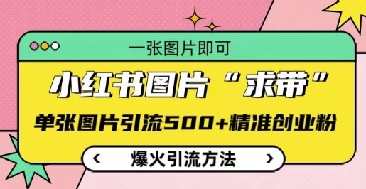 小红书图片‘求带’爆火引流法，单张图片引流500+精准创业粉【揭秘】-chywc