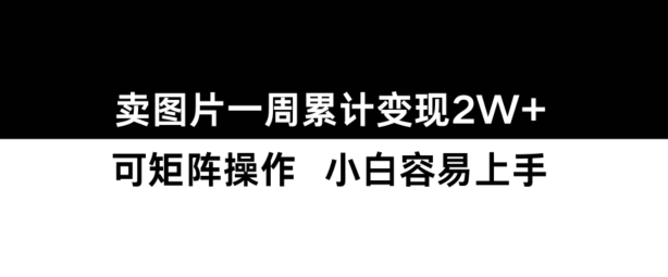 小红书【卖图片】一周累计变现2W+小白易上手-chywc