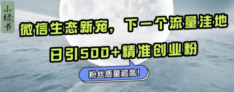 微信生态新宠小绿书：下一个流量洼地，日引500+精准创业粉，粉丝质量超高-chywc
