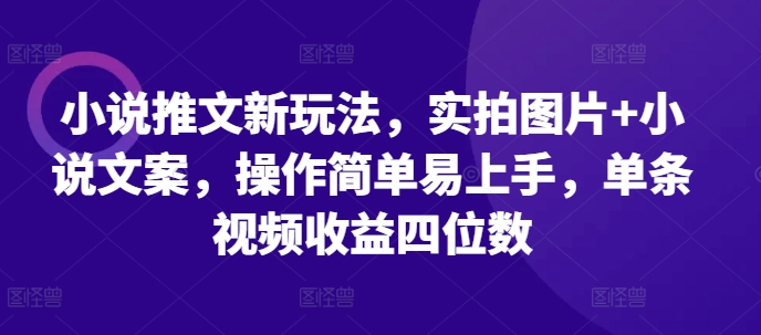 小说推文新玩法，实拍图片+小说文案，操作简单易上手，单条视频收益四位数-chywc