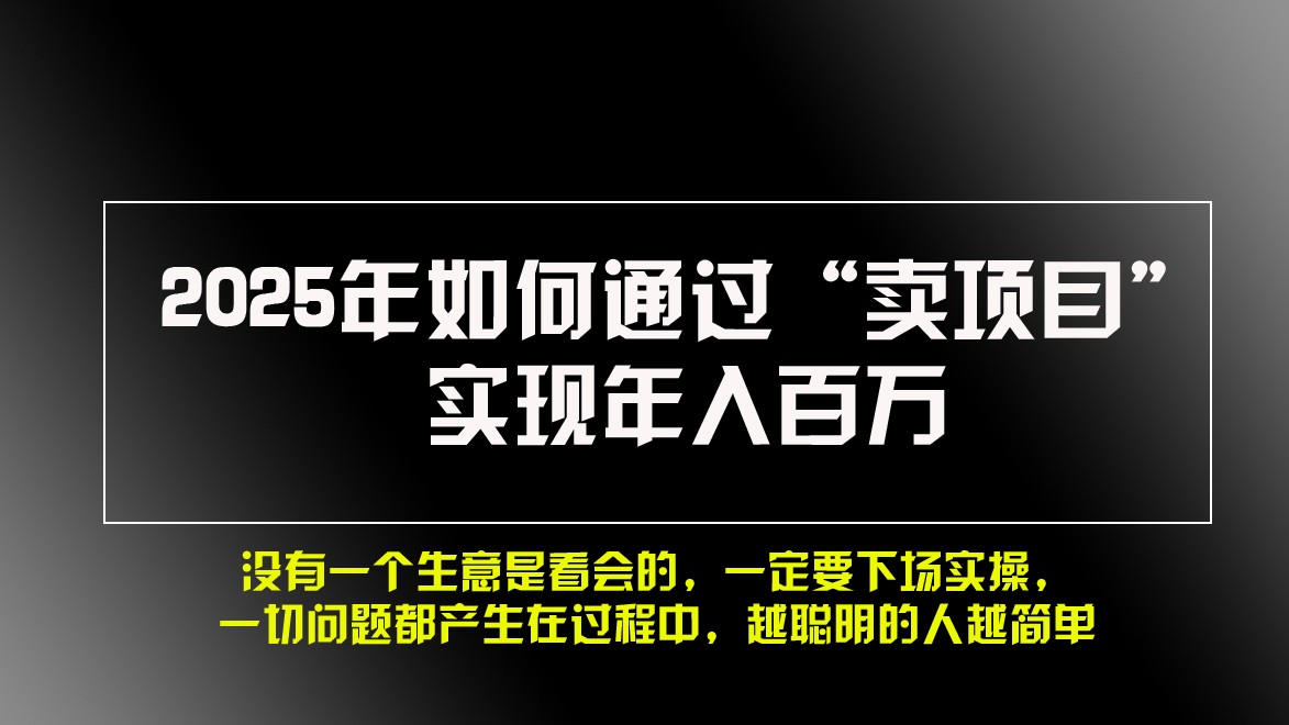 2025年如何通过“卖项目”实现年入百万-chywc