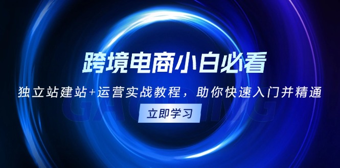 跨境电商小白必看！独立站建站+运营实战教程，助你快速入门并精通-chywc