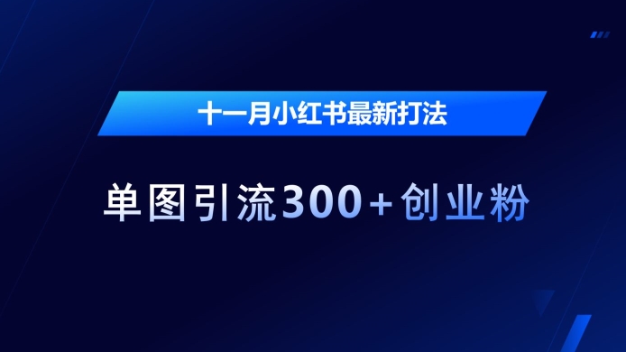 十一月小红书最新打法，单图引流300+创业粉【揭秘】-chywc
