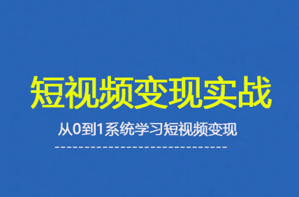 杨磊老师·2025短视频变现实战课-chywc