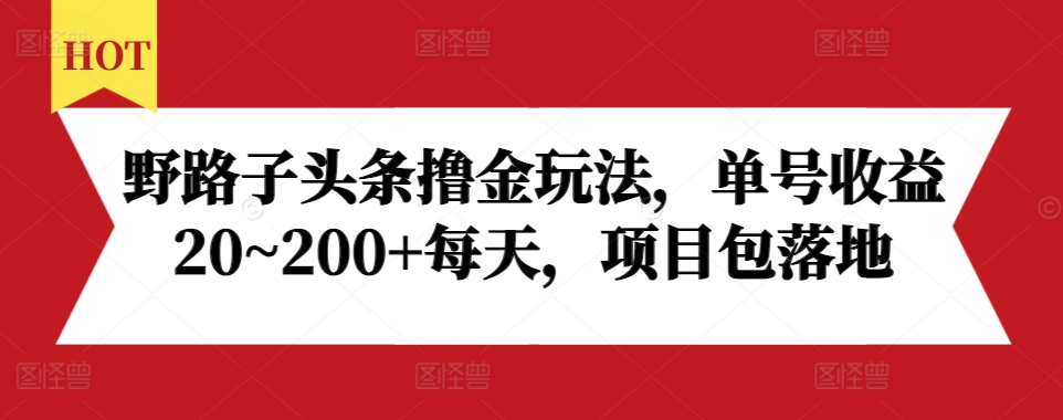 野路子头条撸金玩法，单号收益20~200+每天，项目包落地-chywc