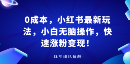 0成本，小红书最新玩法，小白无脑操作，快速涨粉变现-chywc
