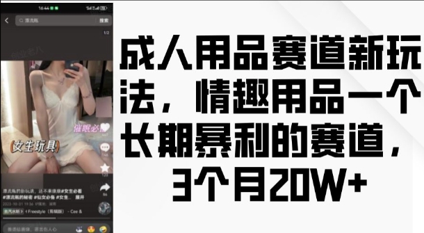 成人用品赛道新玩法，情趣用品一个长期暴利的赛道，3个月收益20个【揭秘】-chywc