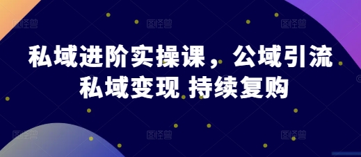 私域进阶实操课，公域引流 私域变现 持续复购-chywc
