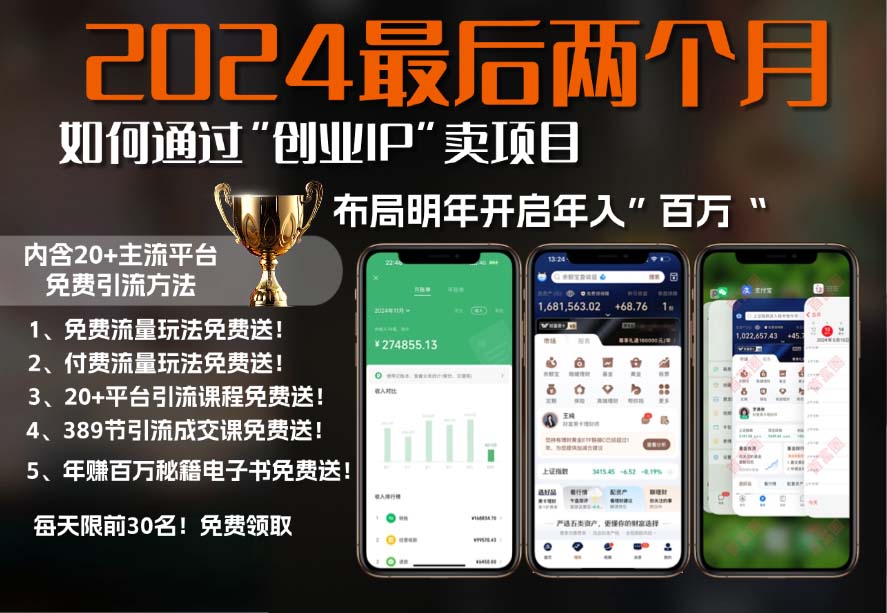 2024最后两个月如何通过”创业IP“卖项目年入”百万“,创业IP+最强引流…-chywc