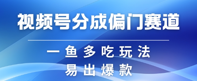 视频号创作者分成计划偏门类目，容易爆流，实拍内容简单易做【揭秘】-chywc