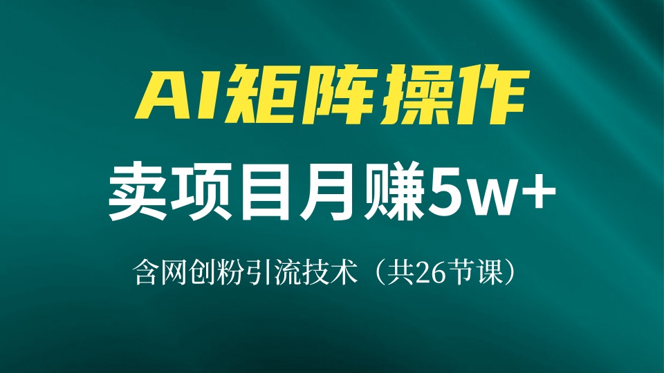 网创IP打造课，借助AI卖项目月赚5万+，含引流技术(共26节课-chywc