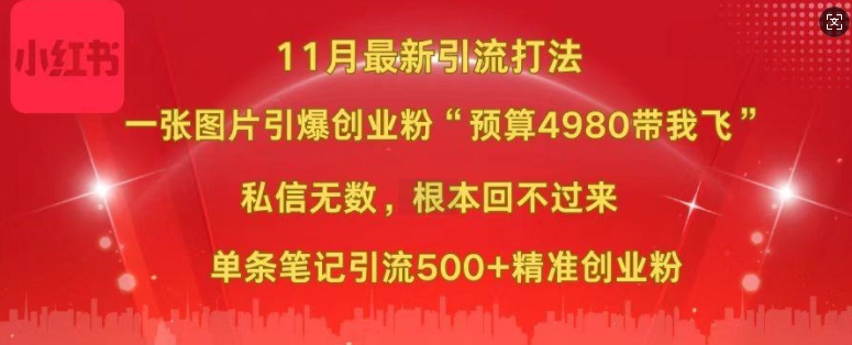 小红书11月最新图片打粉，一张图片引爆创业粉，“预算4980带我飞”，单条引流500+精准创业粉-chywc