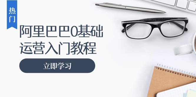 阿里巴巴运营零基础入门教程：涵盖开店、运营、推广，快速成为电商高手-chywc