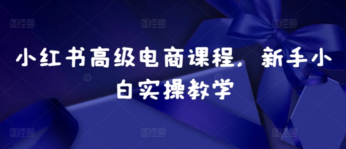 小红书高级电商课程，新手小白实操教学-chywc