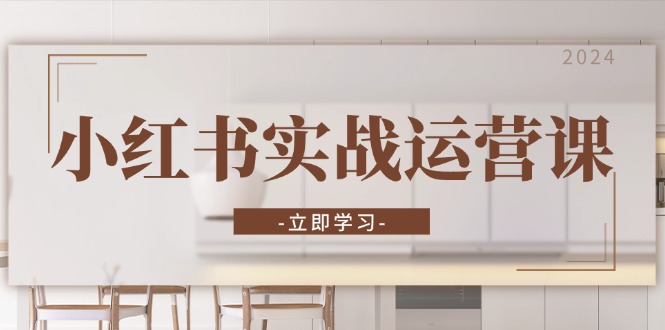 小红书实战运营课：从开通店铺到直播话术，打造爆款笔记与高效直播-chywc