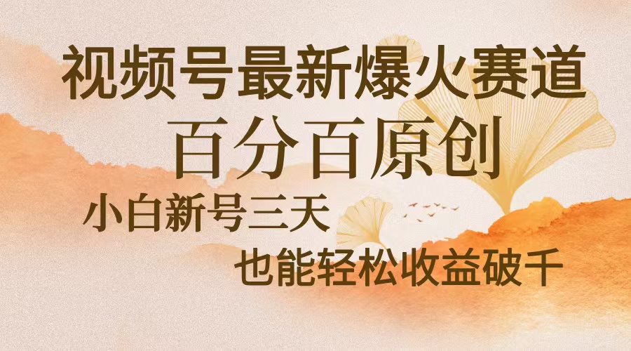 视频号最新爆火赛道，中老年粉深信不疑，百分百原创，新号三天收益轻松…-chywc