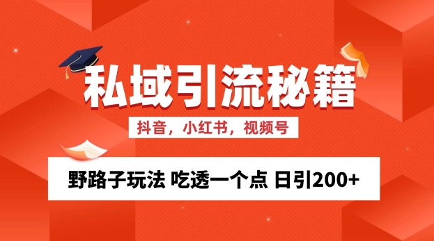 私域流量的精准化获客方法 野路子玩法 吃透一个点 日引200+ 【揭秘】-chywc
