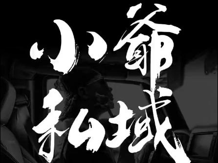 小爷·私域项目操盘手-chywc