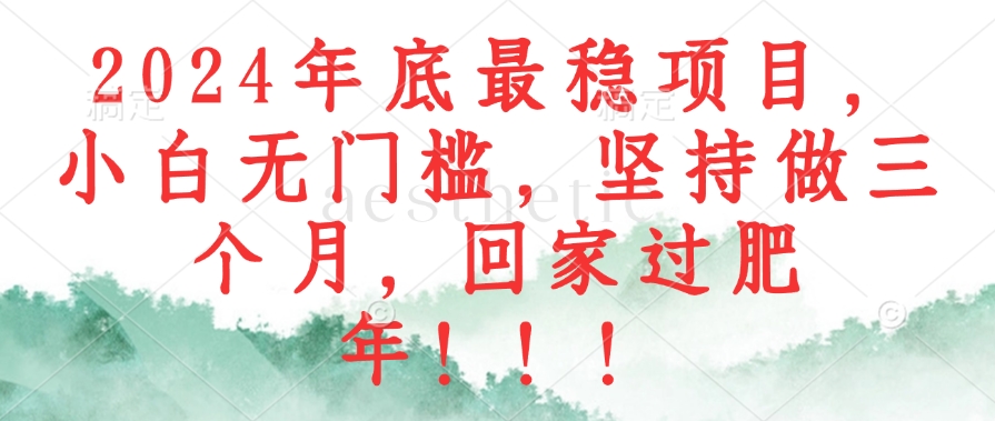 2024年底最稳项目，小白无门槛，坚持做三个月，回家过肥年！！！-chywc