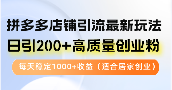 拼多多店铺引流最新玩法，日引200+高质量创业粉，每天稳定1000+收益(…-chywc